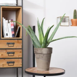 Open Wandkast -BePureHome Verkoop open wandkast samuel lumz home 09